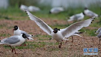 濟南大眾網 大眾網濟南站 濟南網友生活圈,濟南新聞,濟南汽車,濟南房產,濟南旅游,濟南天氣,濟南地圖
