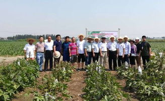 2018年特用作物學術研討會在淄博召開