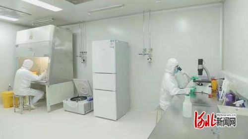 石家莊市國際生物醫藥園靠前服務助力企業項目建設提速增效