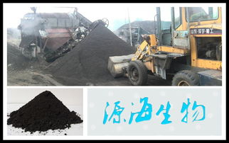 發(fā)酵雞糞有機肥,雞糞有機肥多少錢一噸,河北源海生物有機肥廠