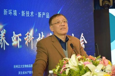 大汪子、工廠化增產(chǎn)有何妙招?400養(yǎng)蝦人共同探討環(huán)渤海養(yǎng)蝦新模式和秘訣