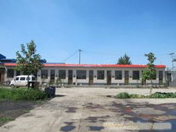 供應石家莊高效低價的雞糞,發酵雞糞希星暢銷全國廠家