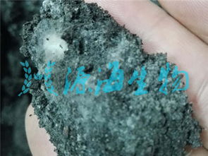 綏化市有機肥價格 綏化雞糞有機肥廠家