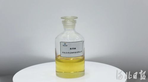 一瓶除草劑,如何實現全球首次連續化生產 京津冀協同創新河北故事