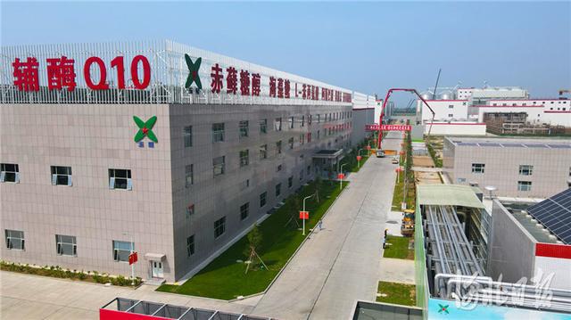 河北寧晉生物大健康產(chǎn)業(yè)園助力高質(zhì)量發(fā)展