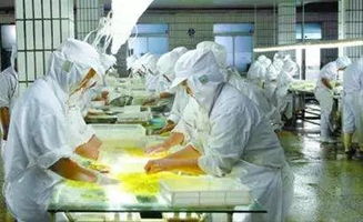 揭秘一線食品企業(yè)的清潔與消毒